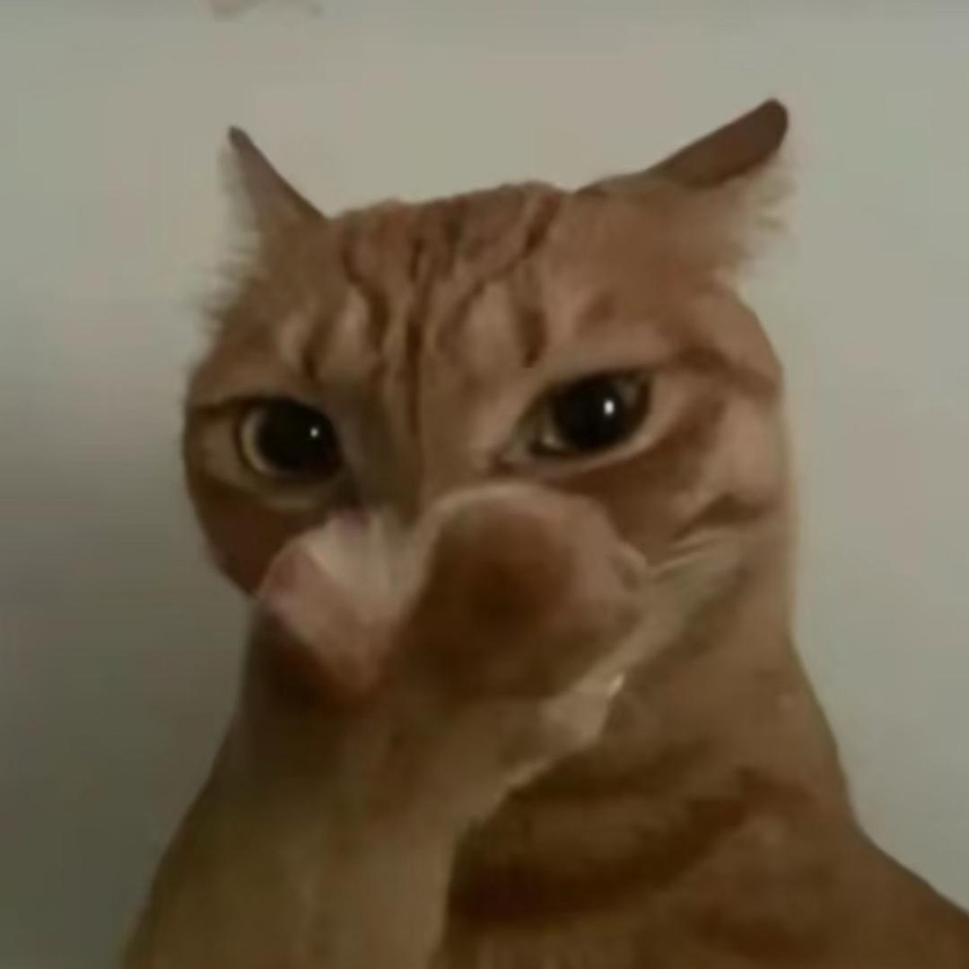露音癖