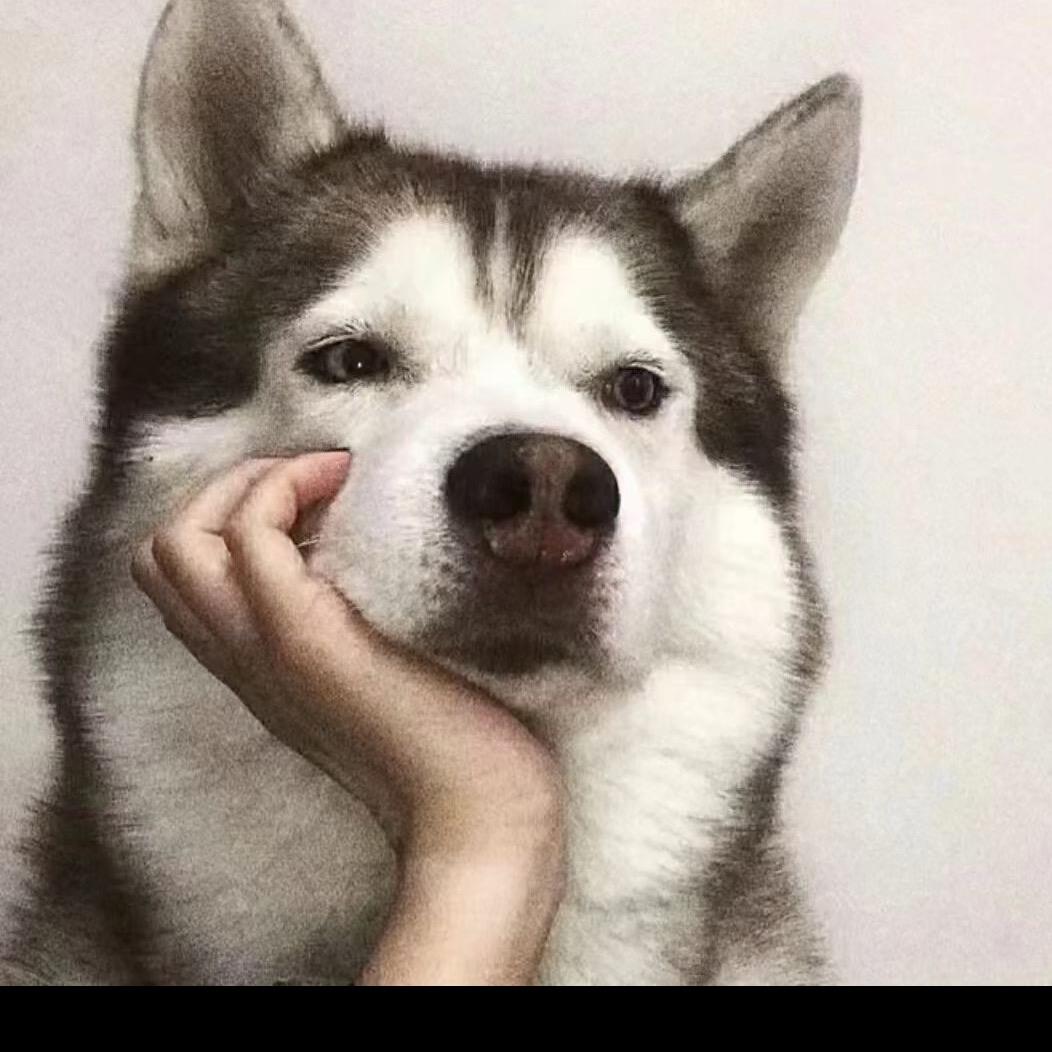如定
