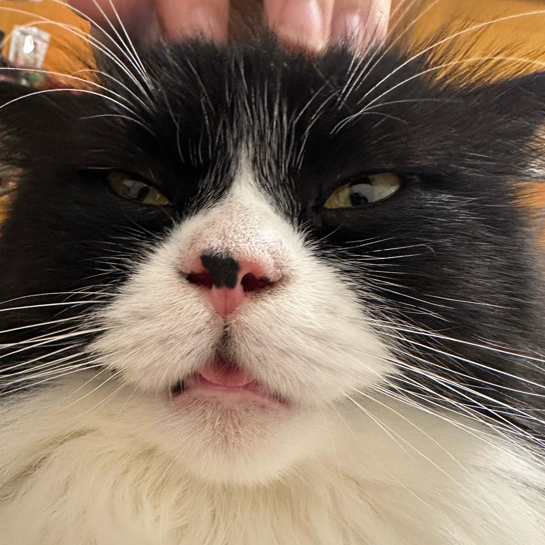 真理就是没真理