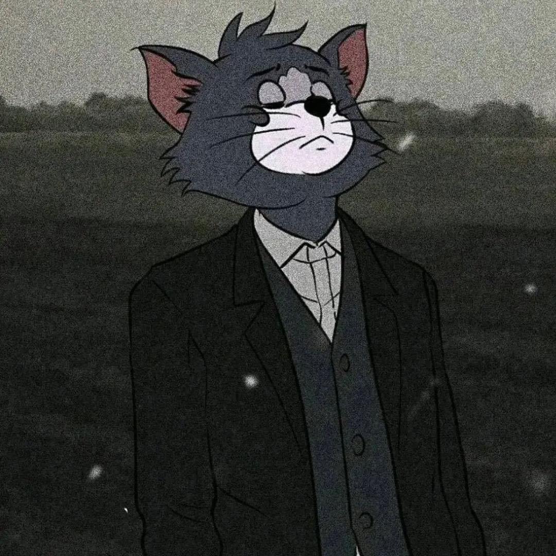 猫哥（收徒）