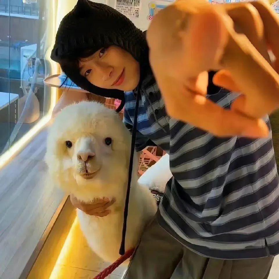 忧郁的花花