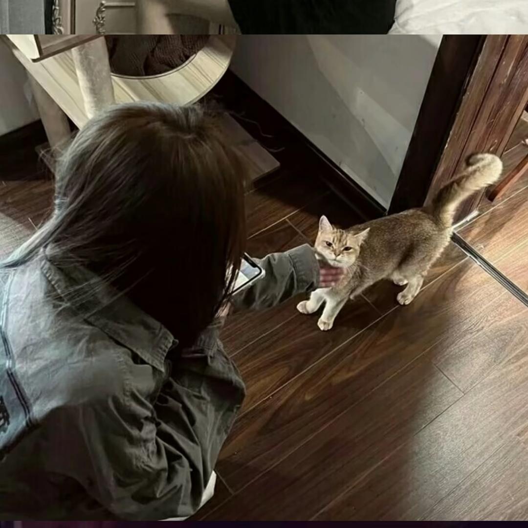 婷婷宝宝