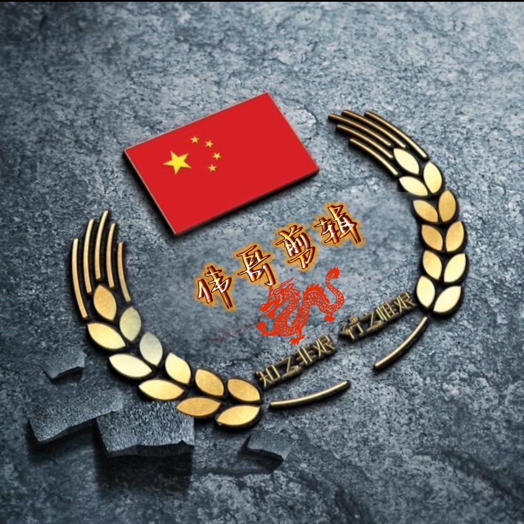 🇨🇳中华之子~伟哥