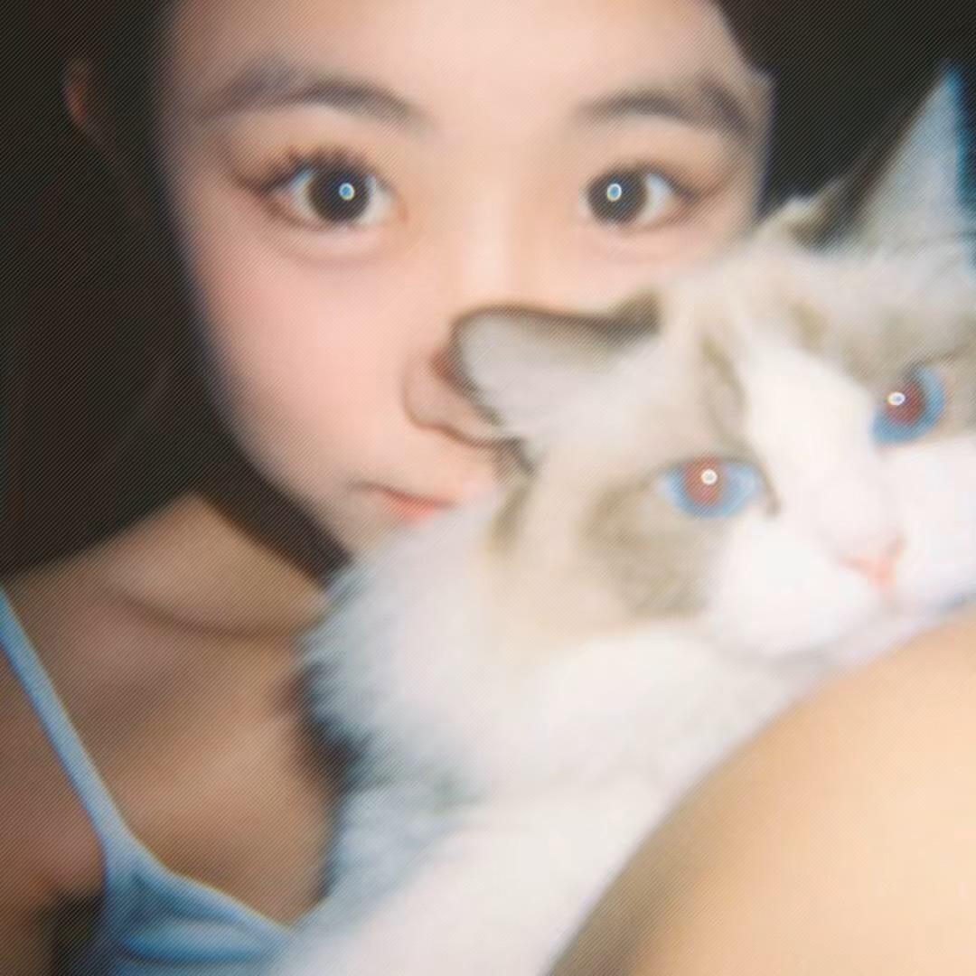 胖胖🫧