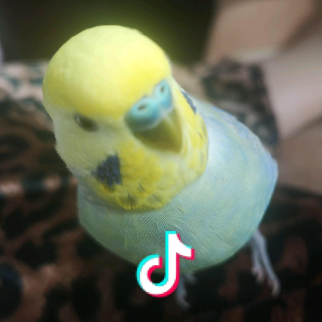 君😊