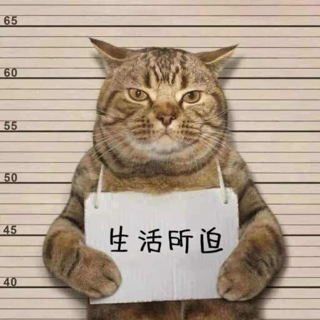 M  Z