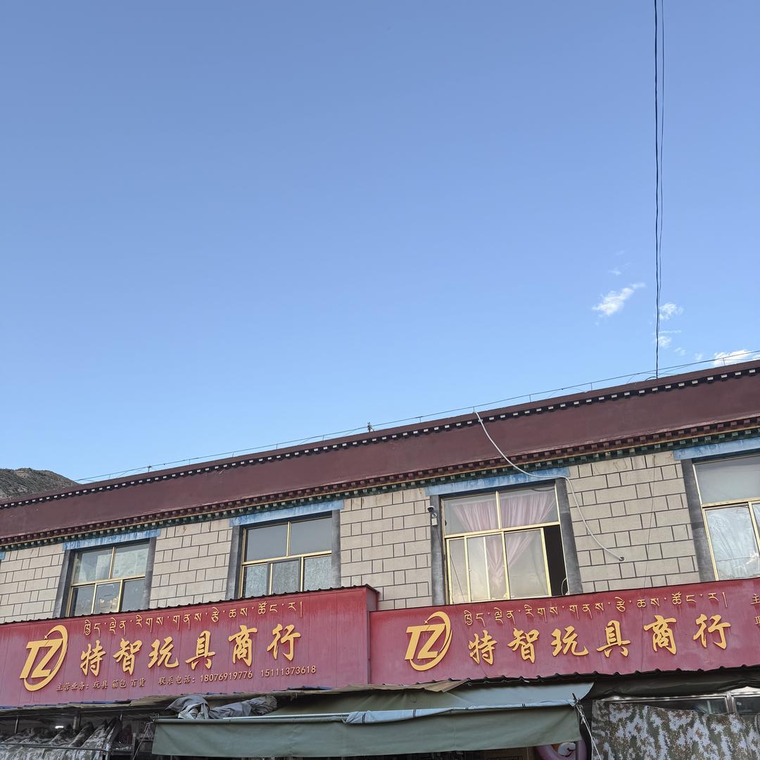 拉萨特智玩具商行