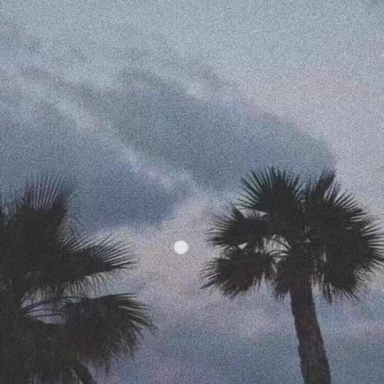 CF小尼