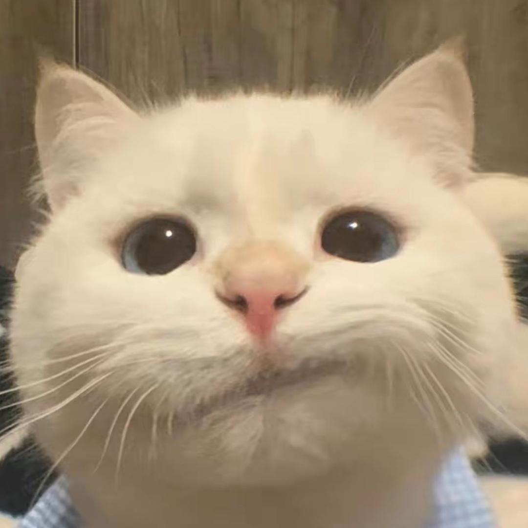 爱吃番茄