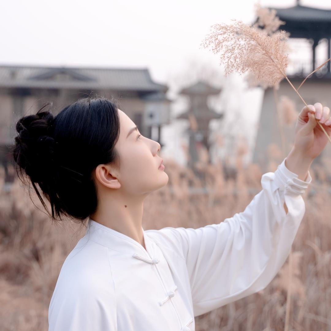 豫记太极花老大