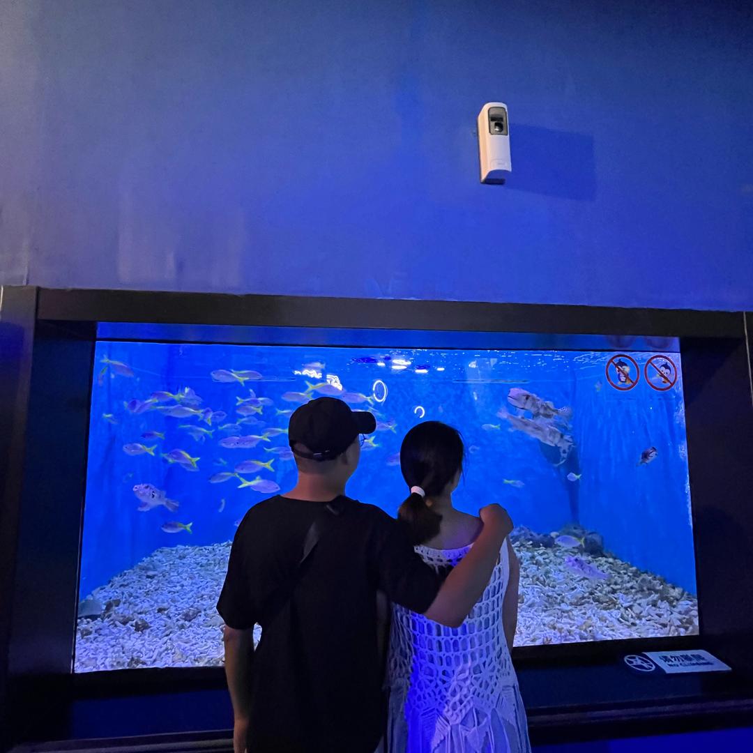 沙拉拉