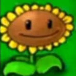 𝒔𝒉𝒂𝒏