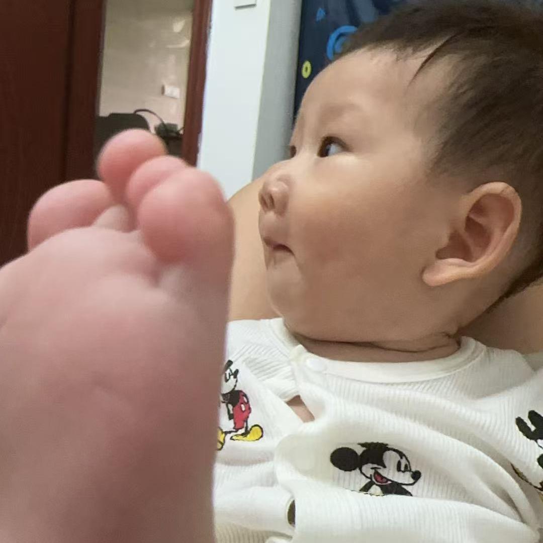 鲨总