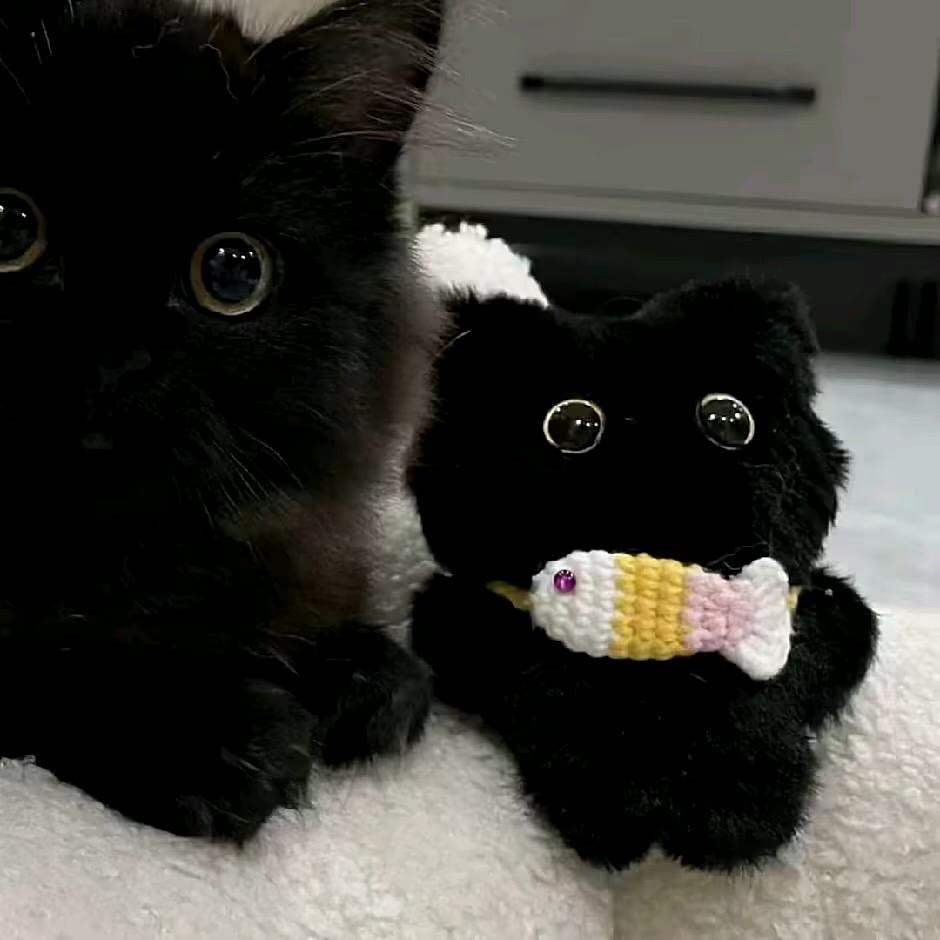 .🐾