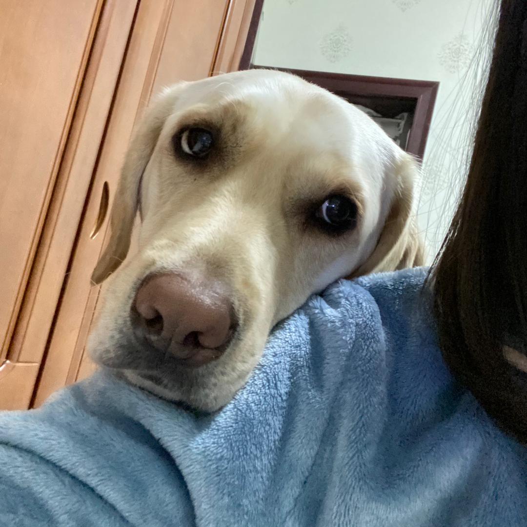 🐶麻圆圆er