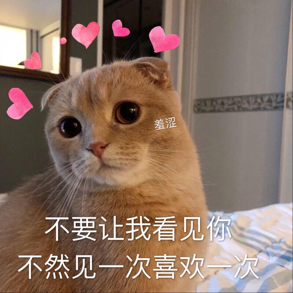 随便叫个啥(减肥版)