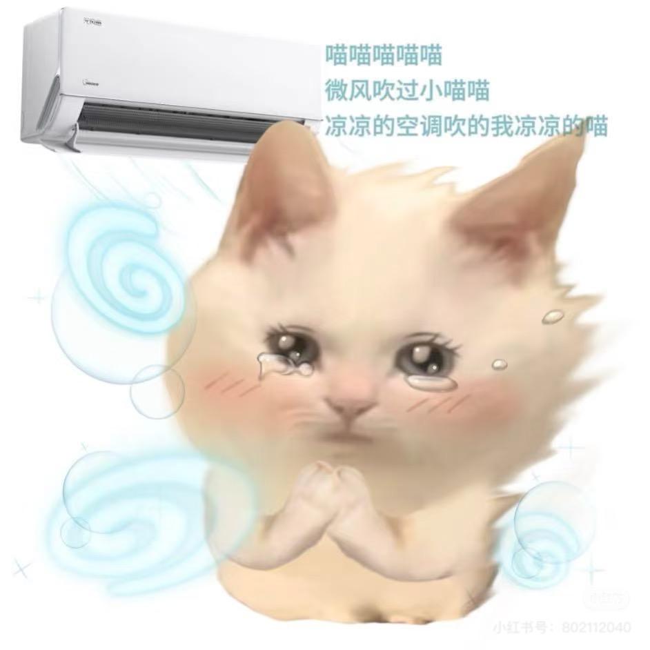 阿薇啊
