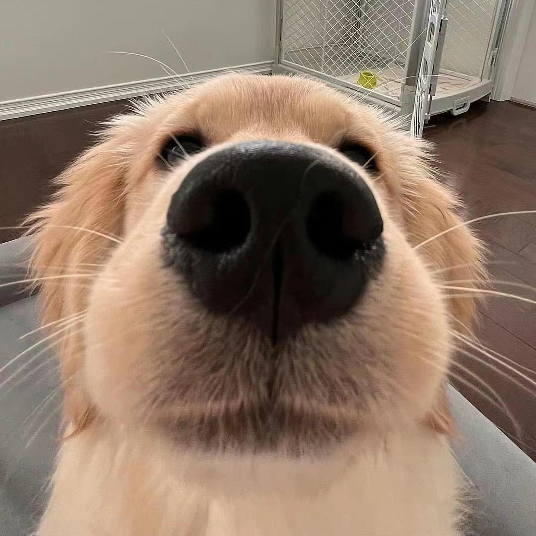 可乐可乐