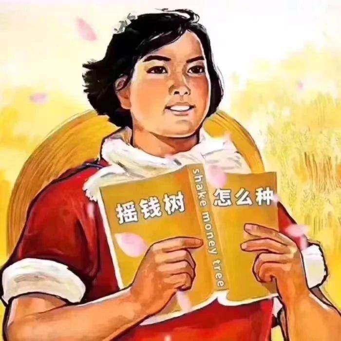 AAA玉米粒安装设备批发--李姐