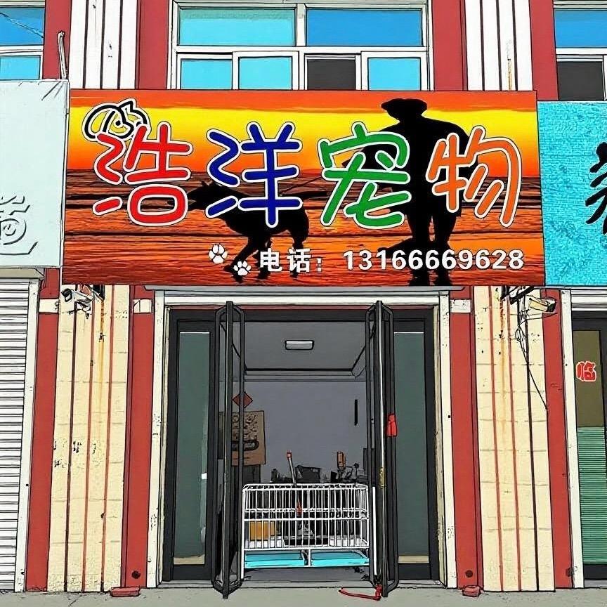 浩洋宠物