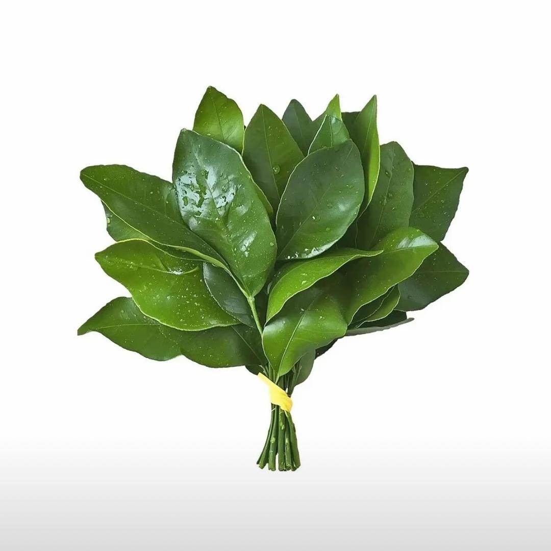 红 豆