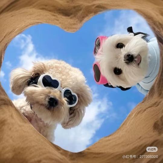 🏖️Dee🍎