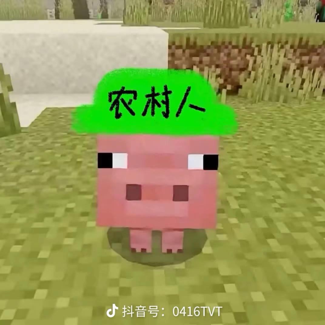 碎碎念