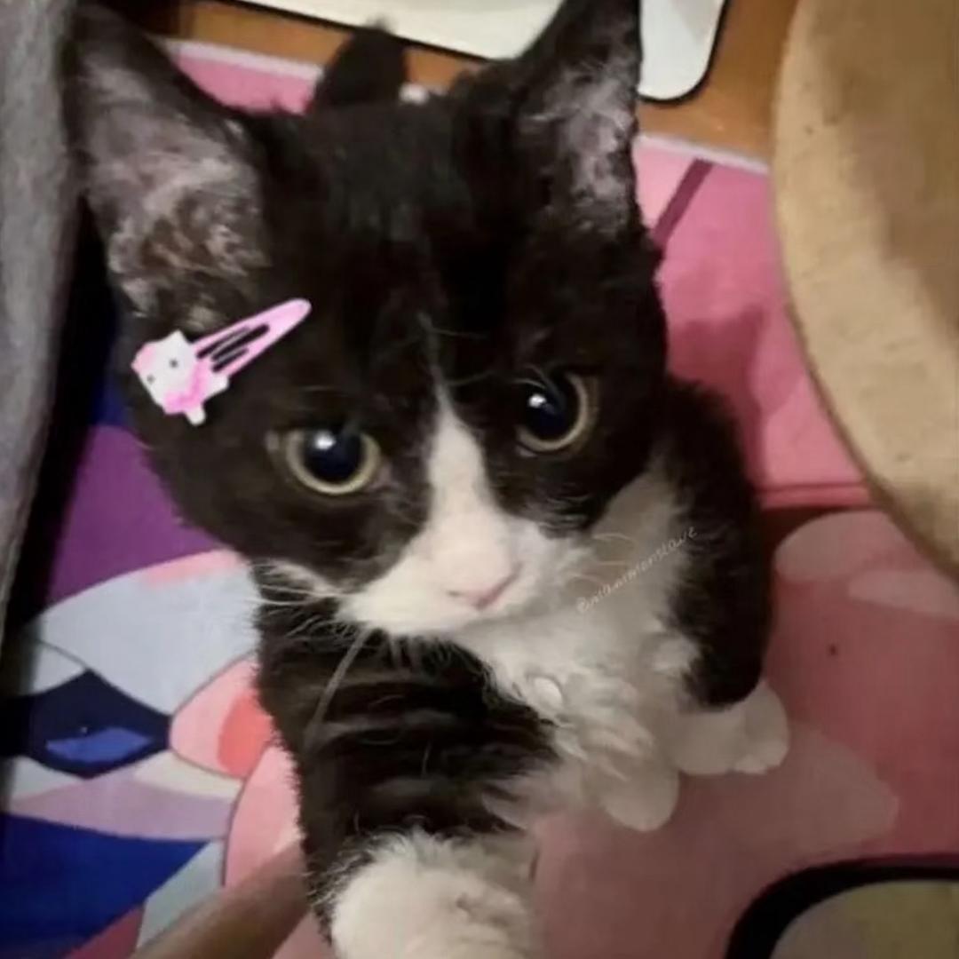 ♥♡