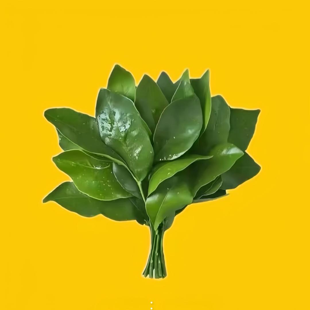 贝钰润壳