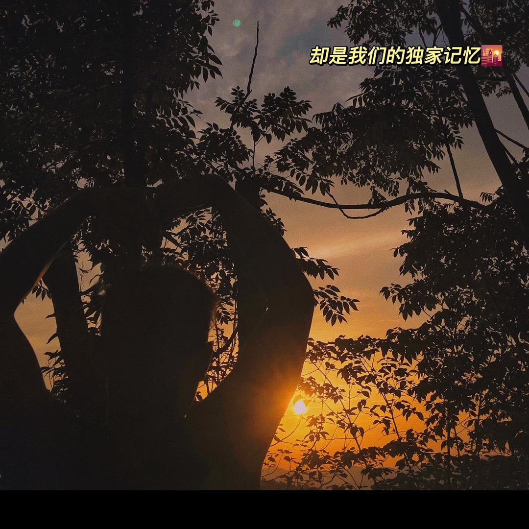 目光