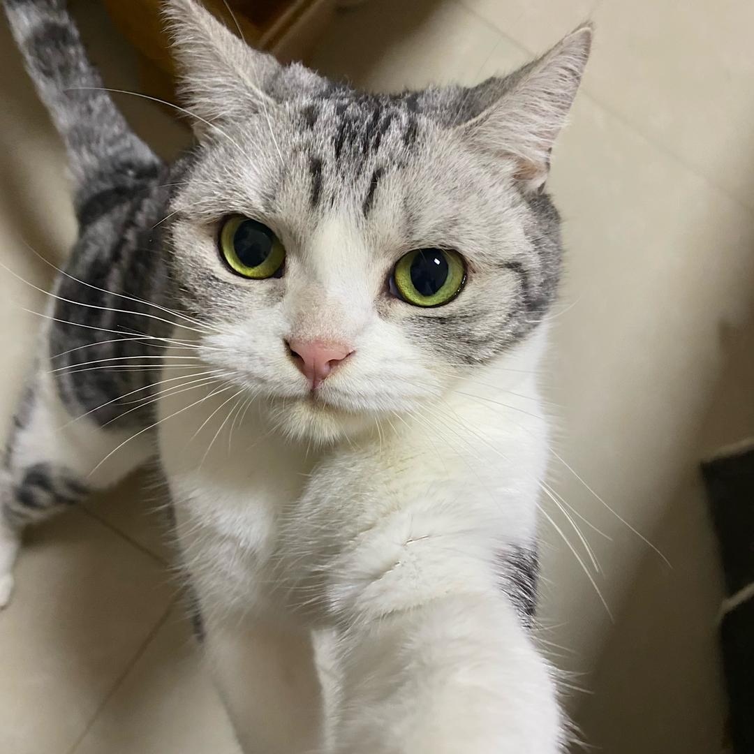 🖍️蜡笔没有小新🖍️