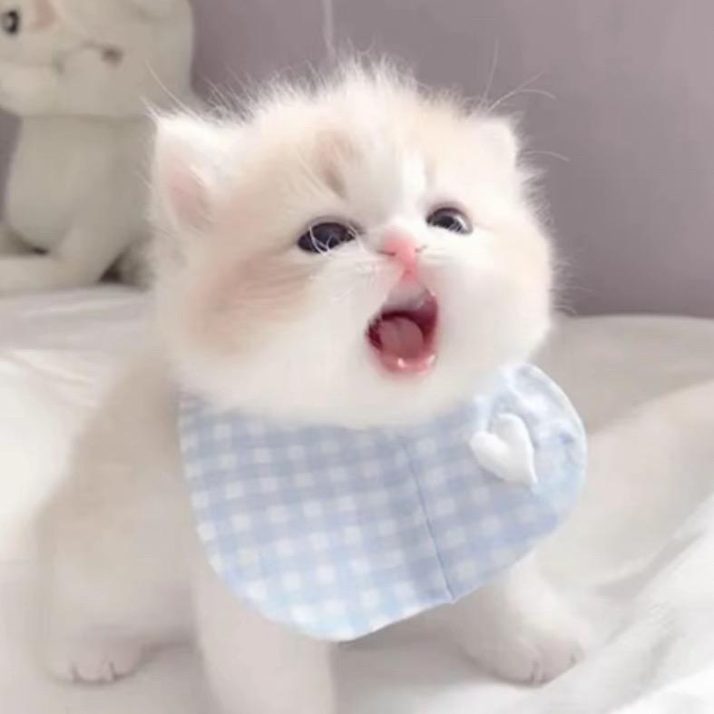 祺祺ee