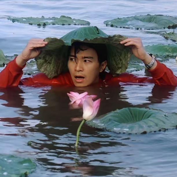 不喝酒的小趴菜