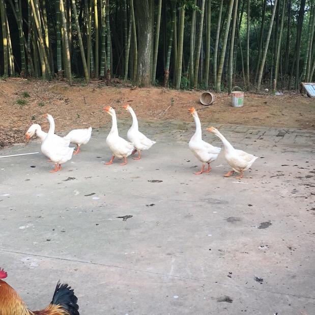 沧波万里