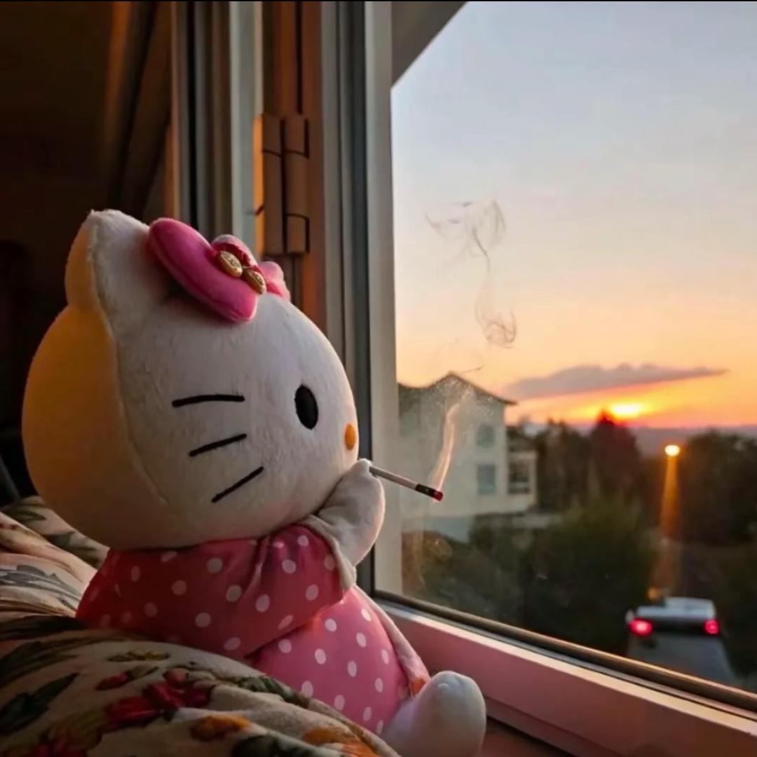 圆圆到员员