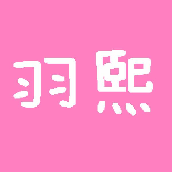 羽熙女鞋