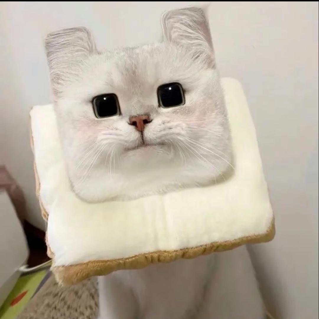 十一手作