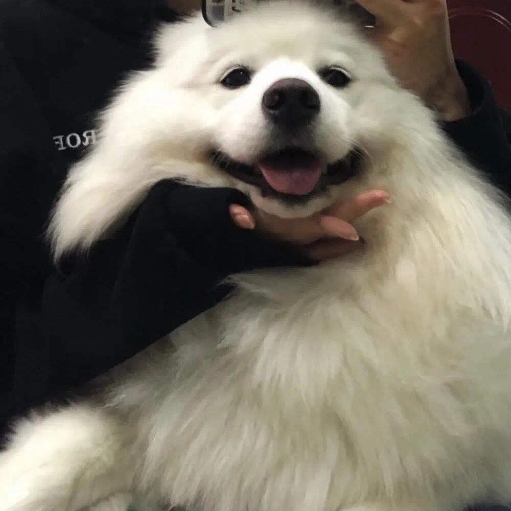.？？