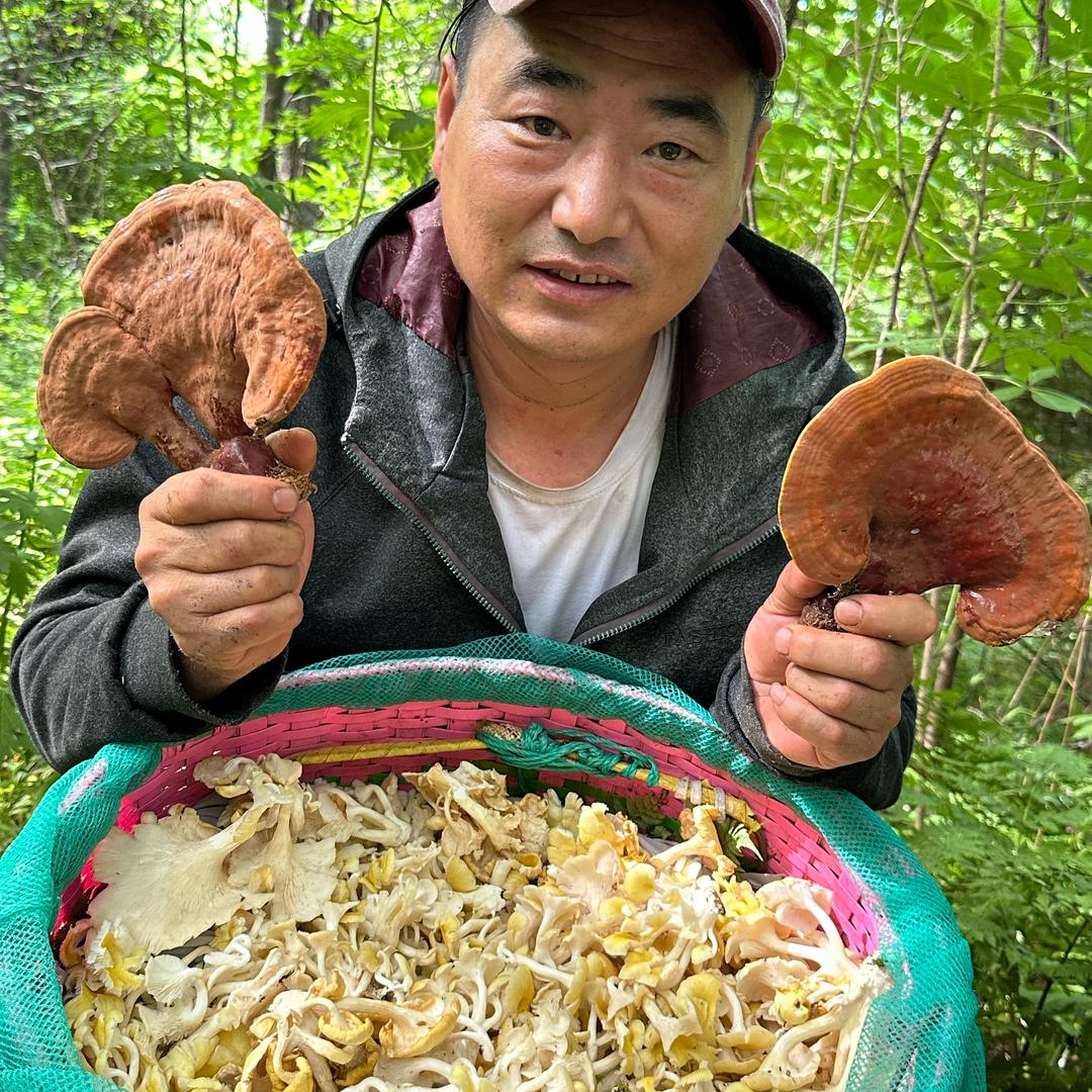 @林区东哥