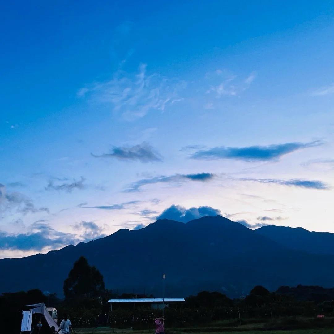 真真
