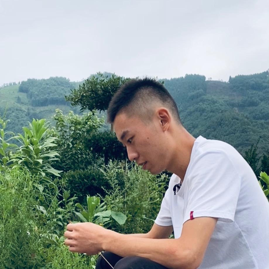 想当村干部的小吴