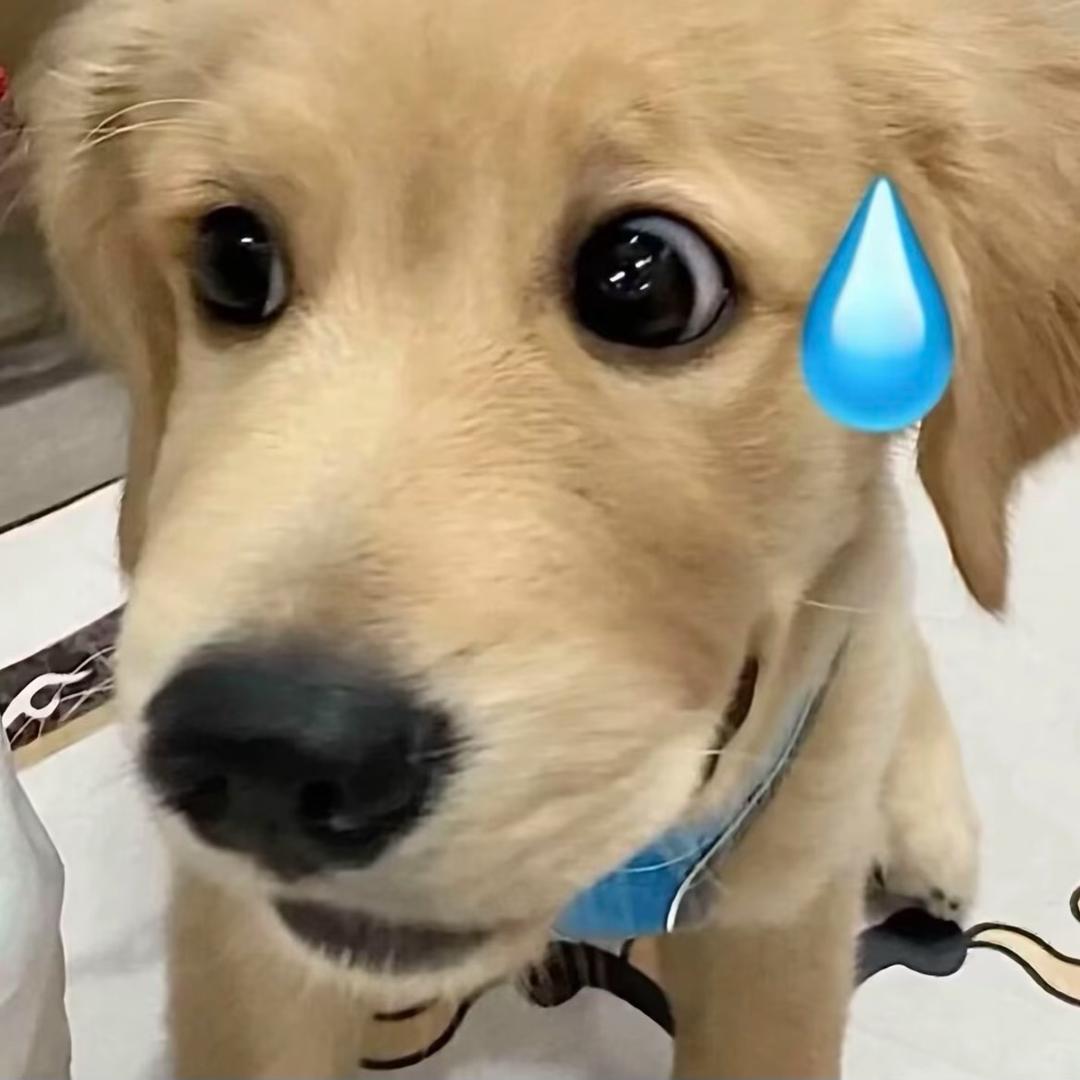 厚度四点