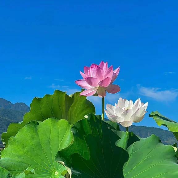 春暖花开！