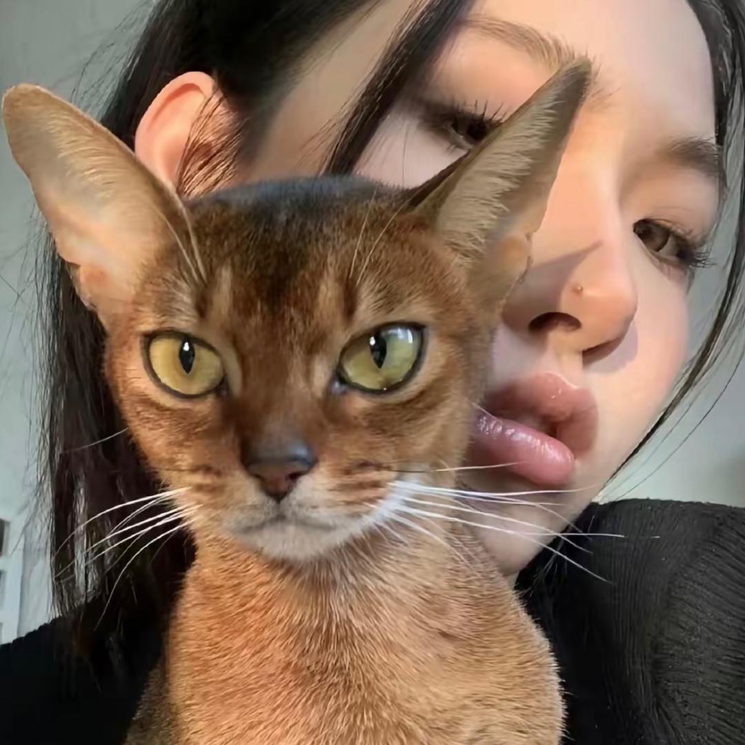 MIN🧸