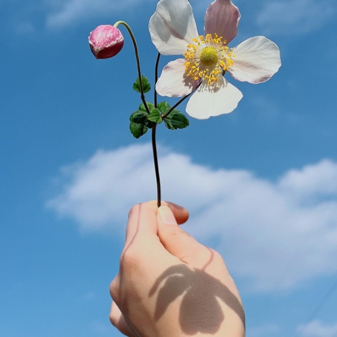 熔芷美养身纤体馆(兴仁店)专用号