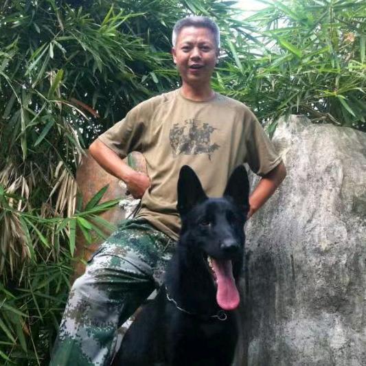 华山犬舍罗师傅