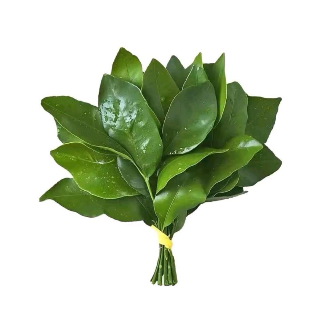 他们都说，我很帅