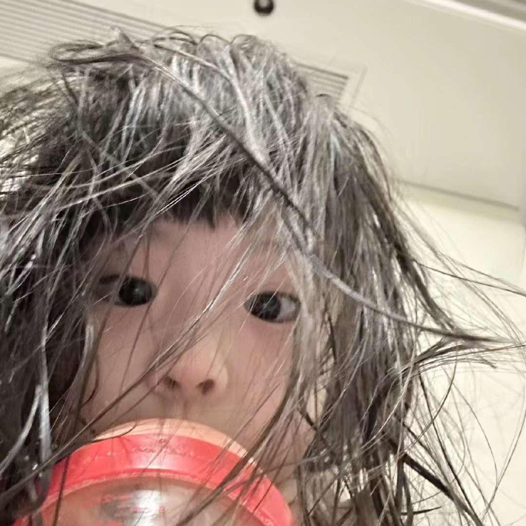 蛋卷统治世界