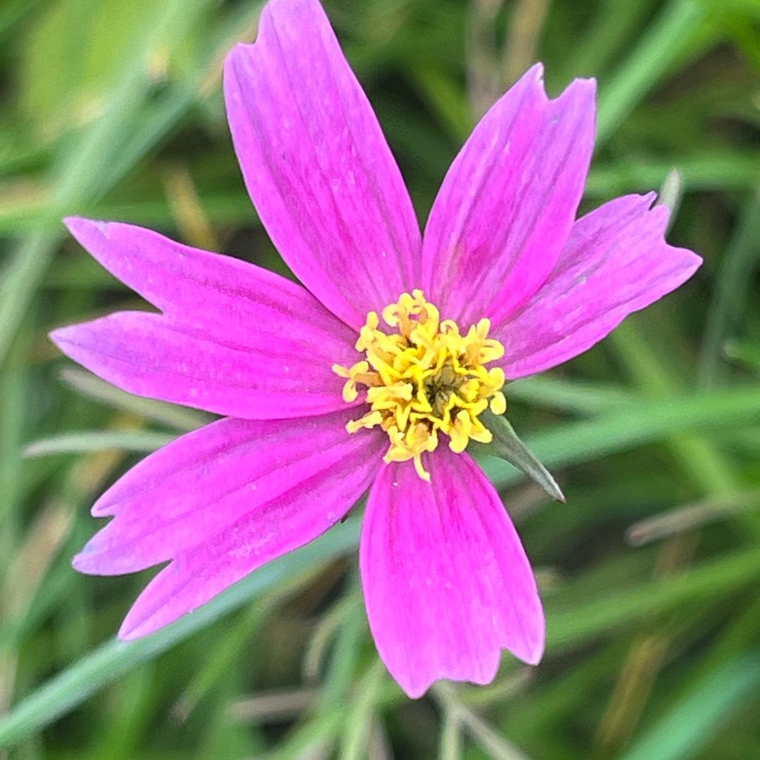 立邦(白塔路店)1456854直播号