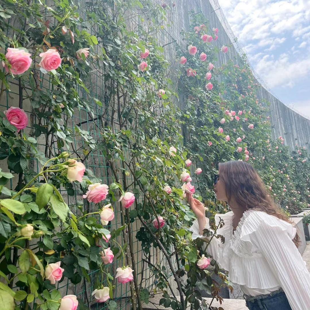 敏姐姐 ❤️❤️❤️